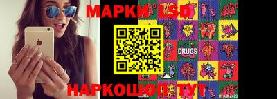 apvp Гатчина