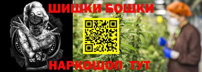 apvp Гатчина