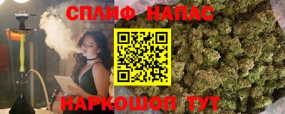 apvp Гатчина