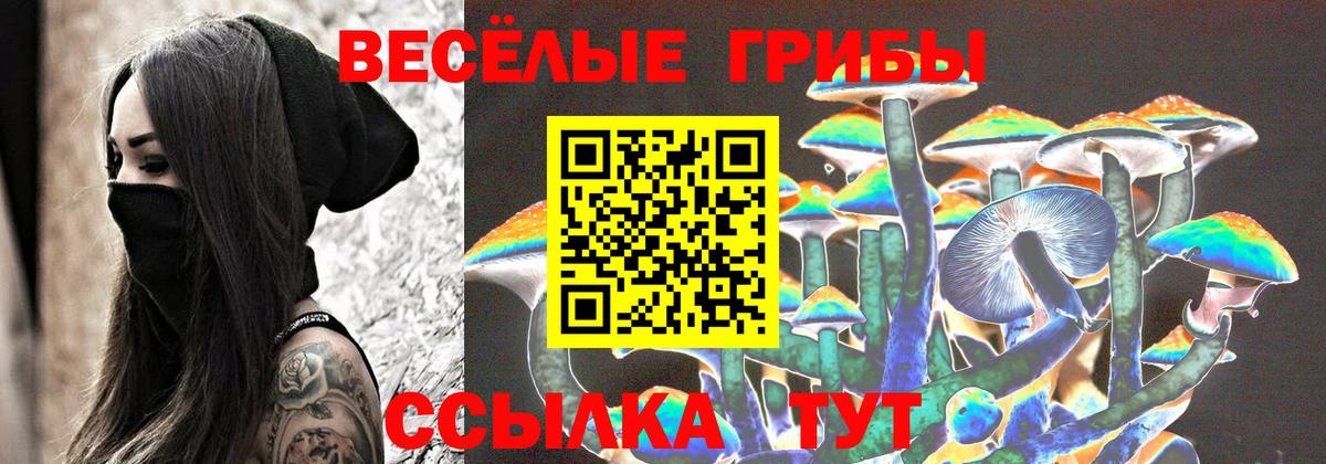Псилоцибиновые грибы ЛСД  Вход с VPN  Благодарный  Галлюциногенные грибы ЛСД 